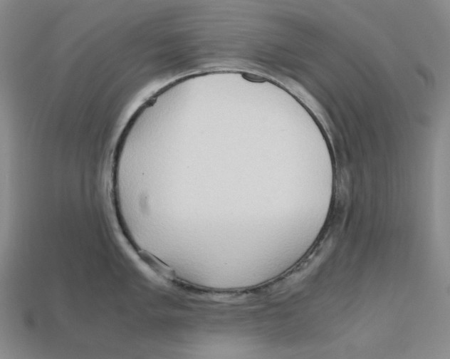 X0000112971005200909241323