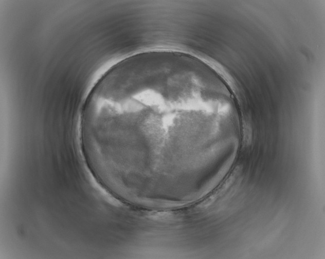 X0000112971006200909241323