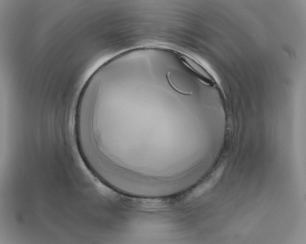 X0000112971007200909241323