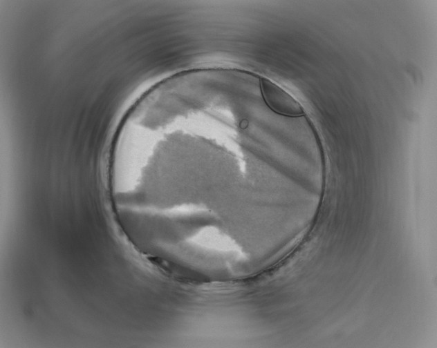 X0000112971008200909241323