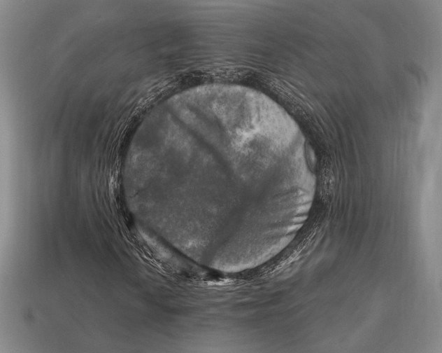 X0000112971010200909241322