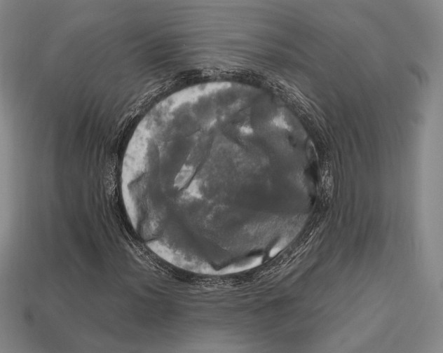 X0000112971012200909241322