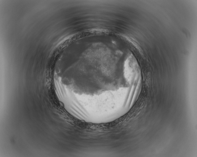 X0000112971015200909241322