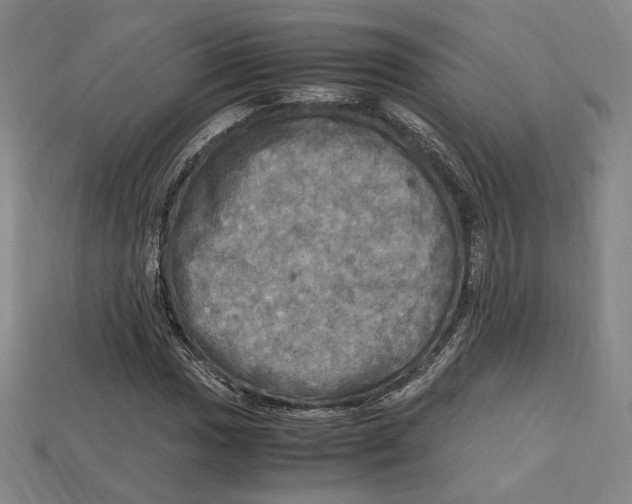 X0000112971017200909241322