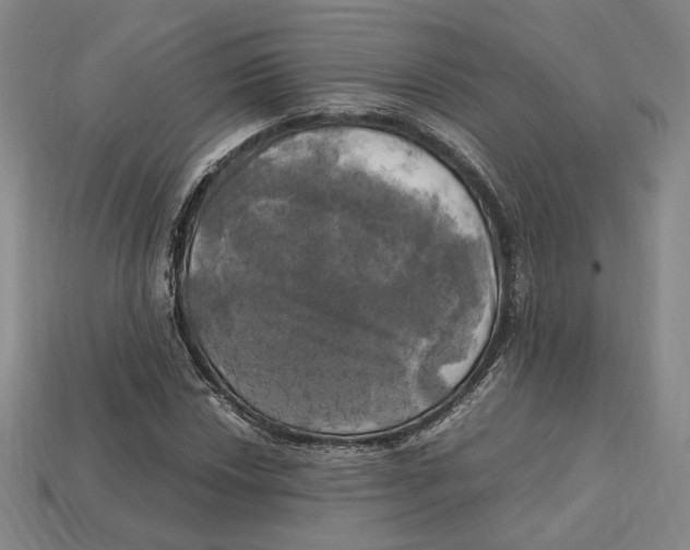 X0000112971018200909241322