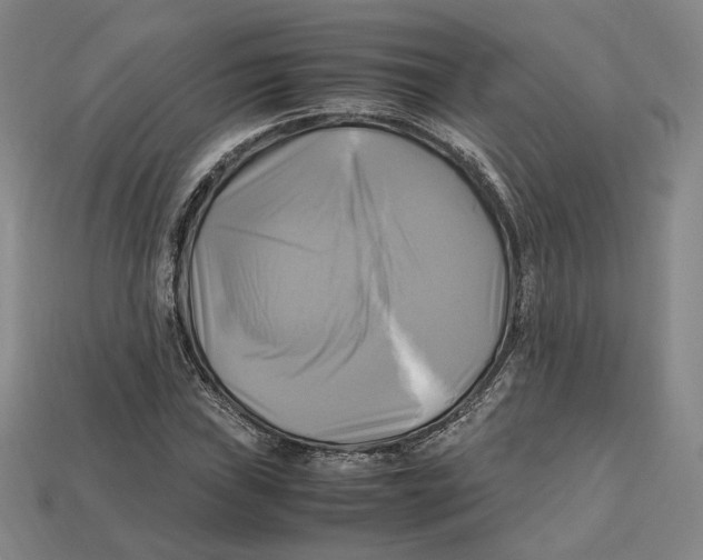 X0000112971019200909241322