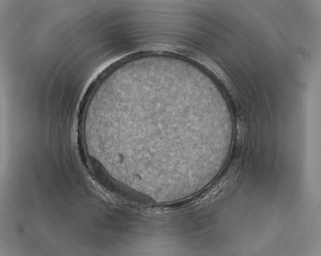 X0000112971020200909241322