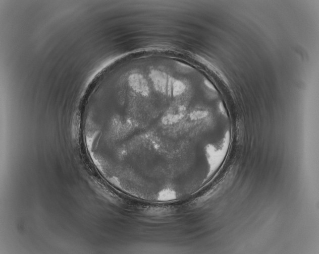 X0000112971021200909241322