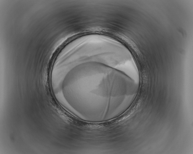 X0000112971023200909241322