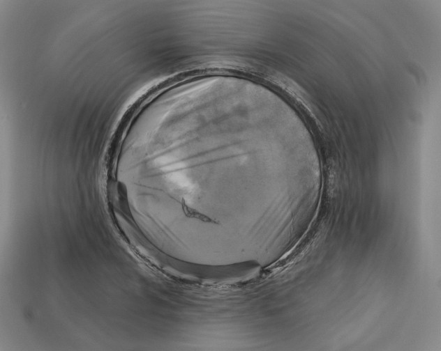 X0000112971024200909241322