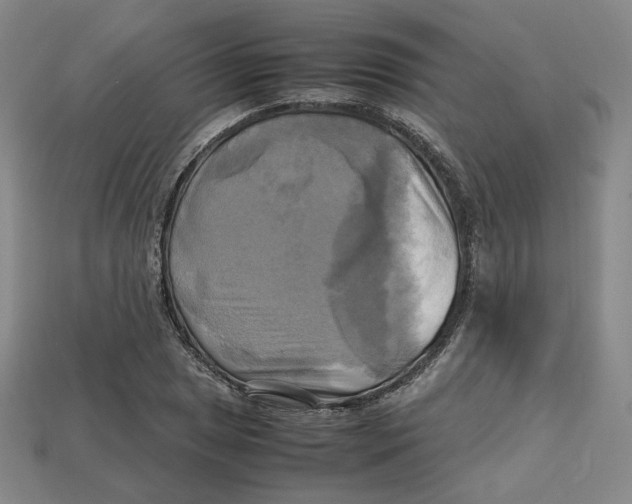 X0000112971025200909241322