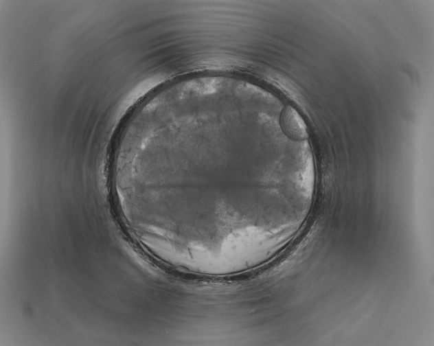 X0000112971026200909241322