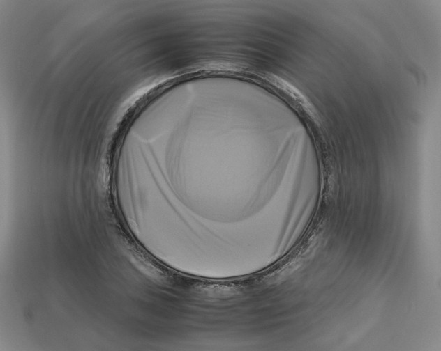X0000112971027200909241322