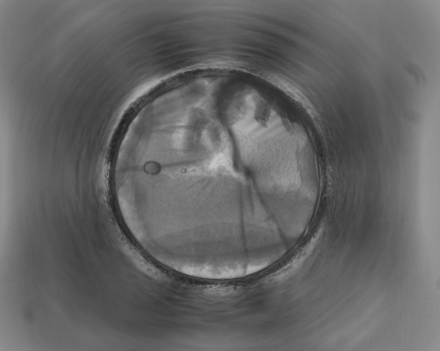 X0000112971029200909241322
