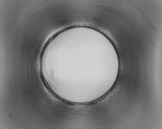 X0000112971032200909241322