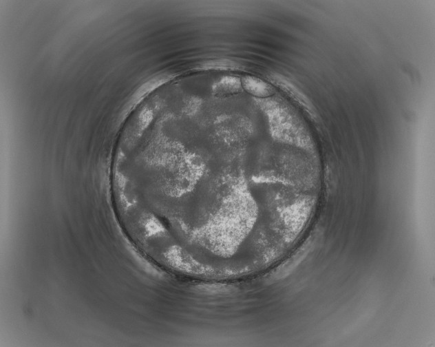 X0000112971033200909241322