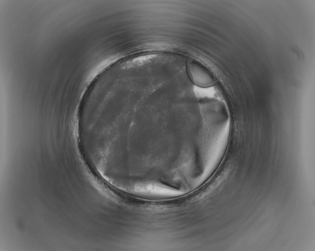 X0000112971034200909241322
