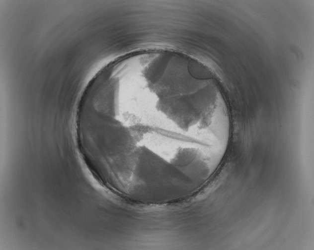 X0000112971038200909241322