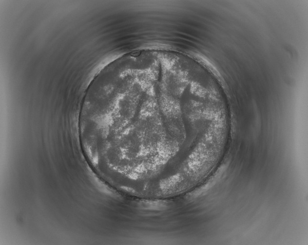 X0000112971041200909241323