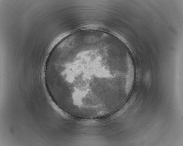 X0000112971042200909241323
