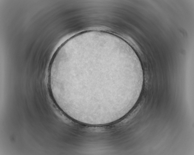 X0000112971044200909241323