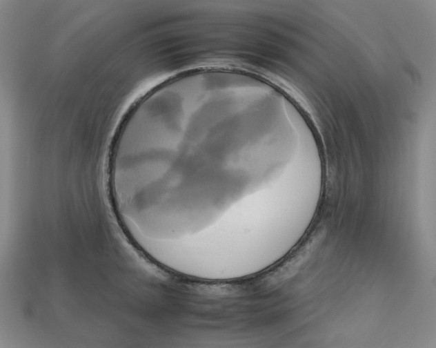 X0000112971045200909241323