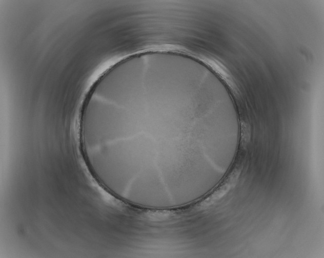 X0000112971046200909241323