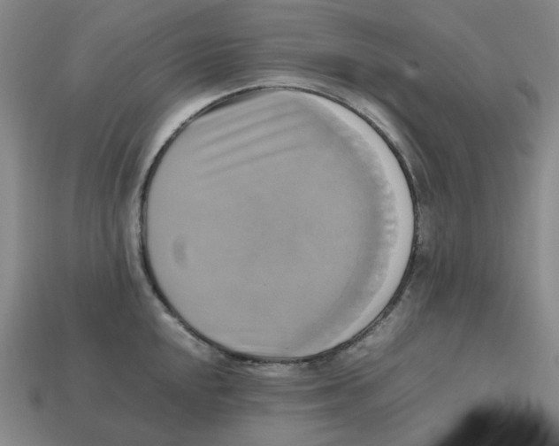 X0000112971048200909241323