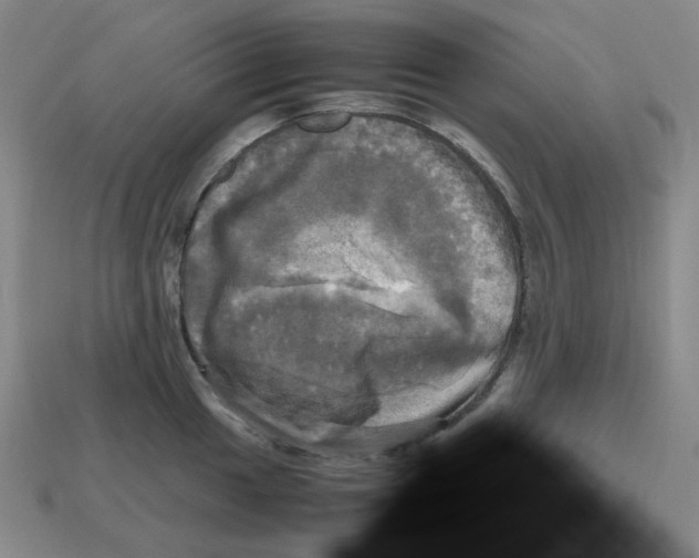 X0000112971049200909241323