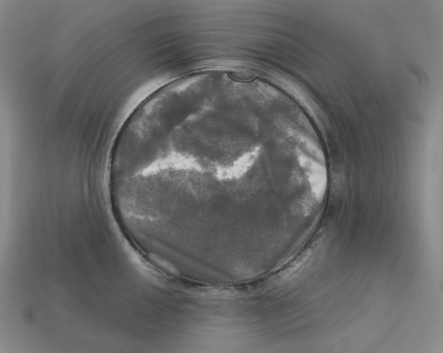 X0000112971050200909241323