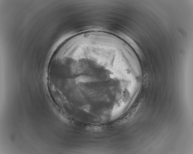 X0000112971051200909241323