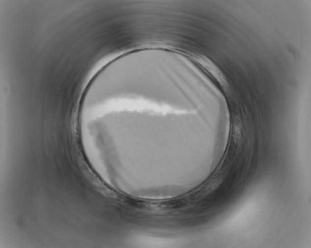 X0000112971052200909241323