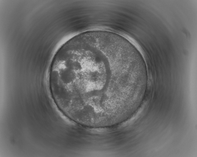 X0000112971053200909241323