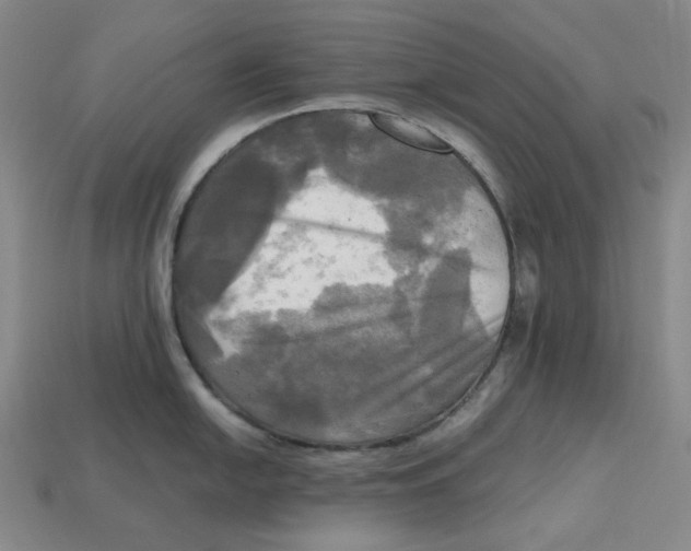 X0000112971054200909241323