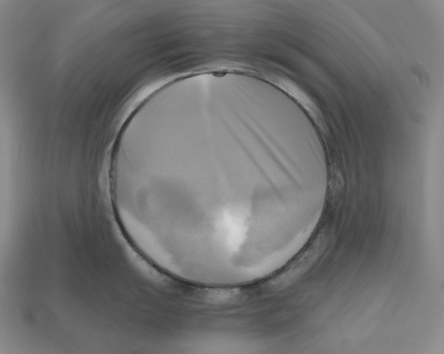 X0000112971055200909241323