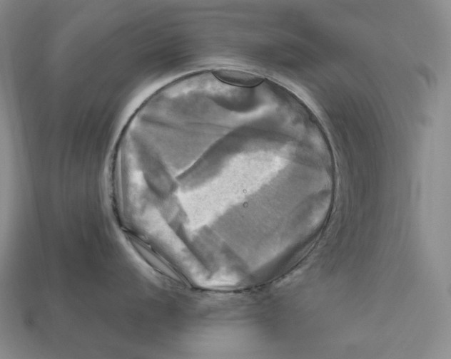 X0000112971056200909241323