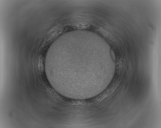 X0000112971058200909241322