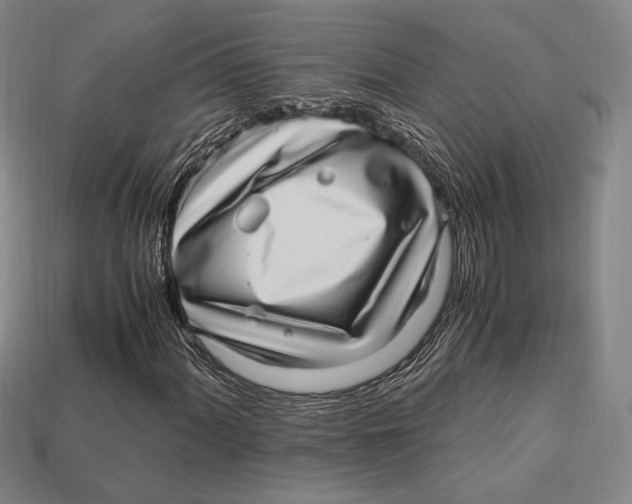 X0000112971060200909241322