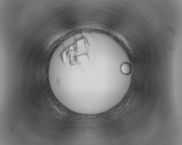 X0000112971064200909241322