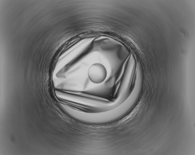 X0000112971065200909241322
