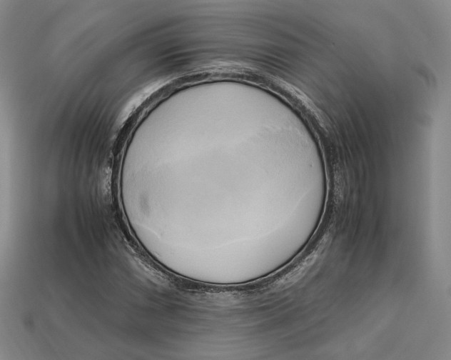 X0000112971066200909241322