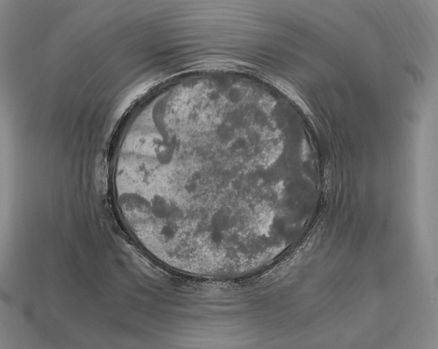 X0000112971067200909241322