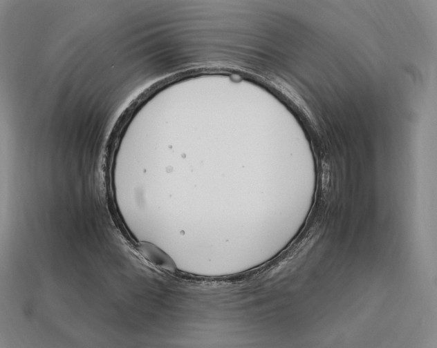 X0000112971068200909241322
