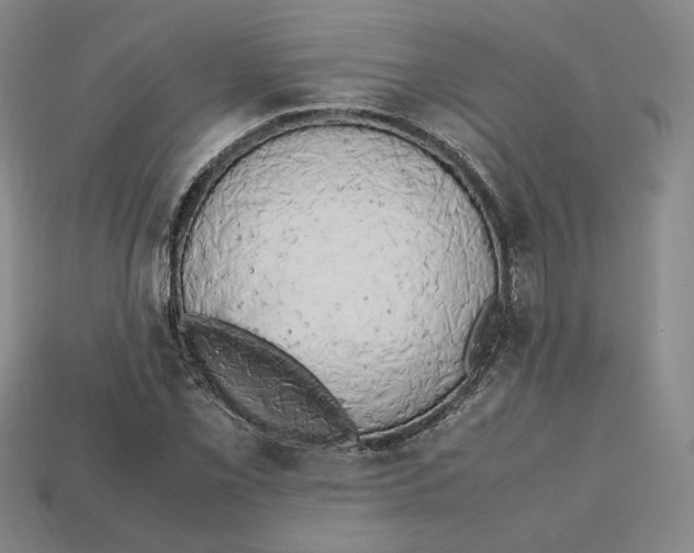 X0000112971069200909241322