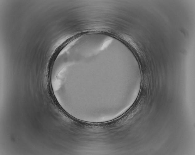 X0000112971071200909241322