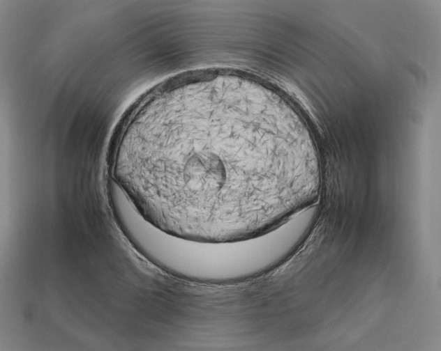 X0000112971072200909241322