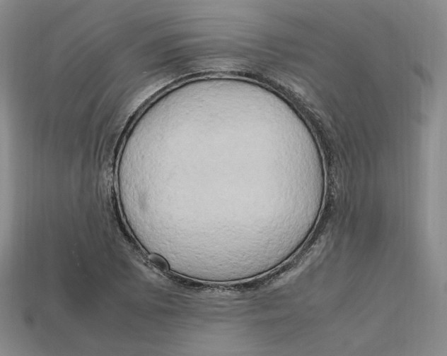 X0000112971073200909241322