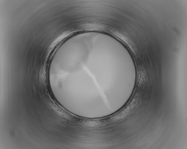 X0000112971074200909241322