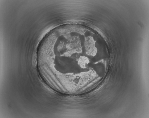 X0000112971075200909241322
