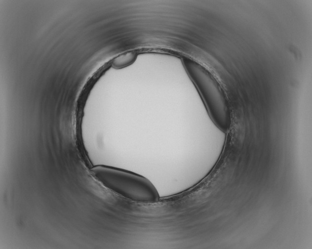 X0000112971076200909241322
